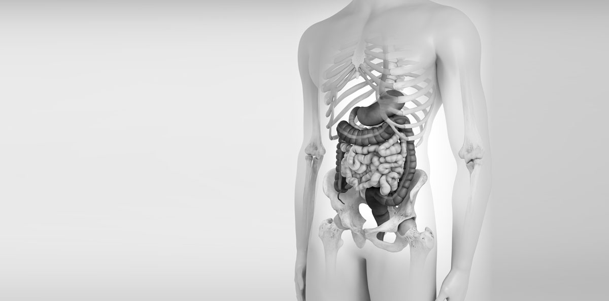 Gastroenterologi